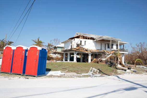 How Our Tree Care Process Works  in  Salt Lake City, UT